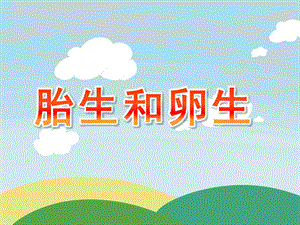 大班科学活动《胎生和卵生》PPT课件教案胎生和卵生.pptx