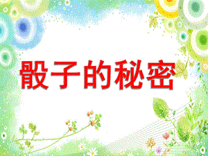 学前班数学《骰子的秘密》PPT课件骰子的秘密.pptx