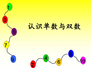 大班数学《认识单数与双数》PPT课件教案大班数学《认识单数与双数》微课件.pptx