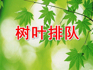 小班数学活动《树叶排队》PPT课件教案树叶排队.pptx