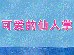 小班科学《可爱的仙人掌》PPT课件3可爱的仙人掌(小班.pptx