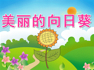 大班美术线描画《美丽的向日葵》PPT课件教案PPT课件.pptx