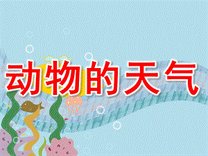大班科学《动物的天气》PPT课件教案PPT课件.pptx