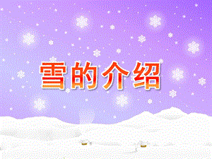 大班科学《雪的介绍》PPT课件雪的介绍-幼儿园课件.pptx