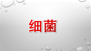 小班健康《细菌》PPT课件幼儿园--细菌.pptx