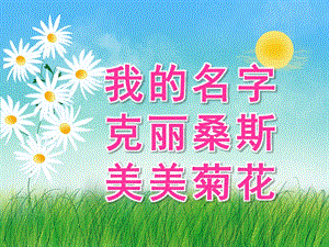 大班语言情景阅读《我的名字克丽桑斯美美菊花》PPT课件教案视频音频PPT课件.pptx