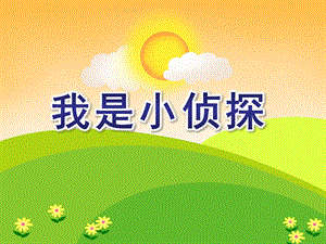 小班数学《我是小侦探》PPT课件教案我是小侦探.pptx