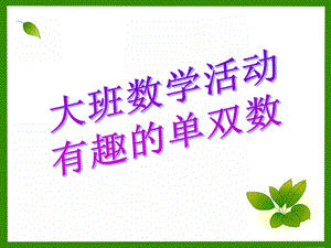 大班数学活动《有趣的单双数》PPT课件教案有趣的单双数.pptx