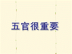 大班健康活动《五官很重要》PPT课件教案五官很重要概述.pptx