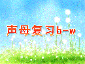 大班拼音《声母复习b-w》PPT课件声母复习b-.pptx