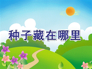 大班科学活动《种子藏在哪里》PPT课件教案大班科学：种子藏在哪里.pptx