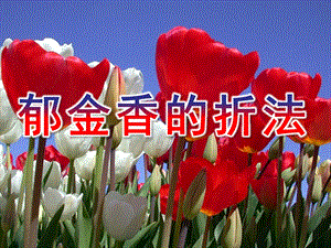 大班手工《郁金香的折法》PPT课件劳技课折纸--郁金香的折法.pptx