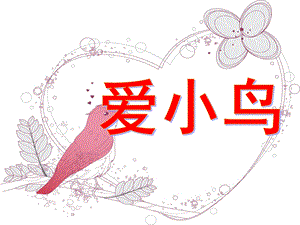 大班社会《爱小鸟》PPT课件教案大班社会爱小鸟-.pptx
