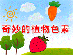 奇妙的植物色素PPT课件教案图片PPT课件.pptx