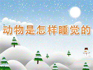 大班说课稿《动物是怎样睡觉的》PPT课件教案PPT课件.pptx