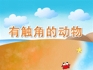 大班科学《有触角的动物》PPT课件有触角的动物.pptx