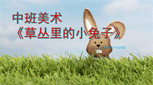 中班美术《草丛里的小兔子》PPT课件教案音频微课件.pptx