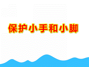 保护小手和小脚PPT课件教案图片认识保护小手和小脚.pptx