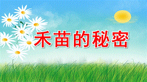 大班科学《禾苗的秘密》PPT课件教案微课件.pptx