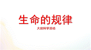 大班科学《生命的规律》PPT课件大班科学《生命的规律》.pptx