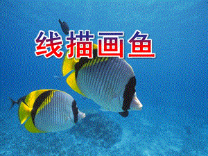 大班活动《线描画鱼》PPT课件教案线描画鱼.pptx
