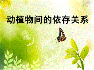 大班语言《动植物间的依存关系》PPT课件动物间的依存关系.pptx