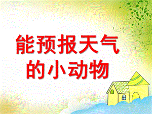 大班科学《预报天气的小动物》PPT课件教案能预报天气的小动物.pptx