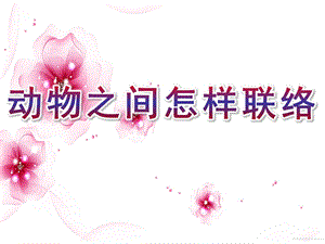 大班科学活动《动物之间怎样联络》PPT课件教案大班科学《动物之间怎样联络》.pptx