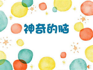 大班健康《神奇的脑》PPT课件教案大班健康《神奇的脑》课件.pptx