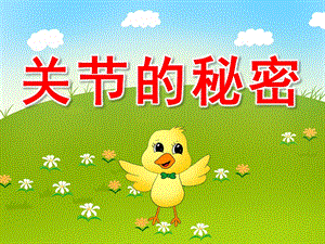 大班关节的秘密PPT课件教案幼儿园大班社会与健康-关节.pptx