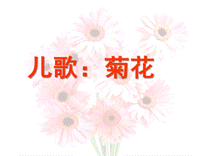 大班儿歌《菊花》PPT课件儿歌：菊花.pptx
