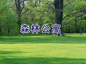 中班序数《森林公寓》PPT课件教案ppt课件.ppt