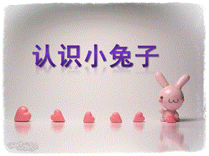 幼儿园《认识小兔子》PPT课件教案认识小兔子.pptx