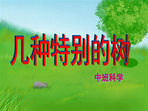 中班科学《几种特别的树》PPT课件几种特别的树.ppt