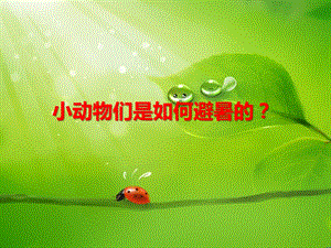 中班科学《小动物们是如何避暑的？》PPT课件中班科学《小动物们是如何避暑的？》PPT课件.ppt
