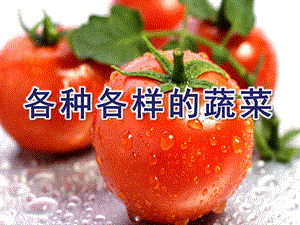 幼儿园《各种各样的蔬菜》PPT课件教案13泥塑-各种各样的蔬菜.pptx