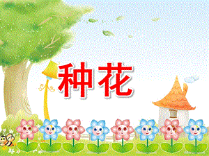 种花PPT课件教案图片小班数活动：种花.pptx