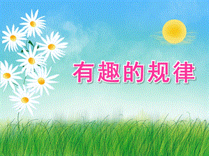 中班科学活动《有趣的规律》PPT课件教案.ppt