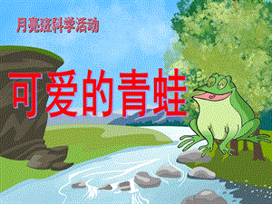 中班科学《可爱的青蛙》PPT课件可爱的青蛙..ppt