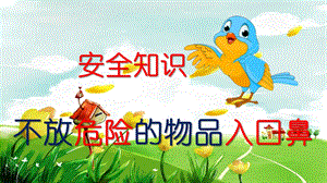 幼儿园安全不放危险的物品入口鼻PPT课件幼儿园安全不放危险的物品入口鼻PPT课件.pptx