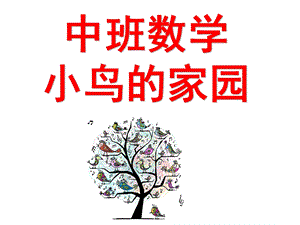 中班数学《小鸟的家园》PPT课件教案中班数学--小鸟的家园.ppt