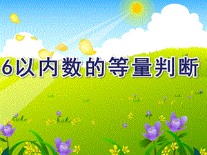 中班数学活动《6以内数的等量判断》PPT课件6的守恒.ppt