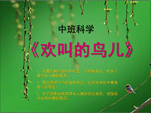 中班科学《欢叫的鸟儿》PPT课件各种各样的鸟.ppt
