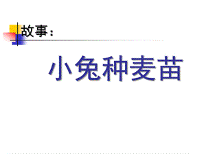 中班语言《小兔种麦子》PPT课件教案小兔种麦子.ppt