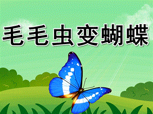 小班科学公开课《毛毛虫变蝴蝶》PPT课件教案PPT课件.pptx