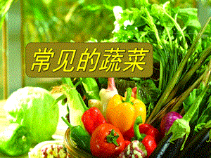 幼儿园健康教育《常见的蔬菜》PPT课件教案常见的蔬菜.pptx