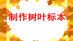 中班科学《制作树叶标本》PPT课件教案PPT课件.ppt