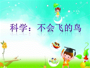 中班科学活动《不会飞的鸟》PPT课件教案中班科学-不会飞的鸟.ppt