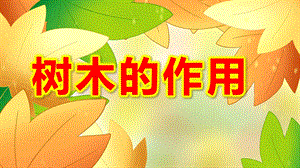 树木的作用PPT课件教案图片树木的作用.pptx