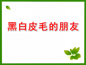 小班美术《黑白皮毛的朋友》PPT课件教案黑白皮毛的朋友.pptx